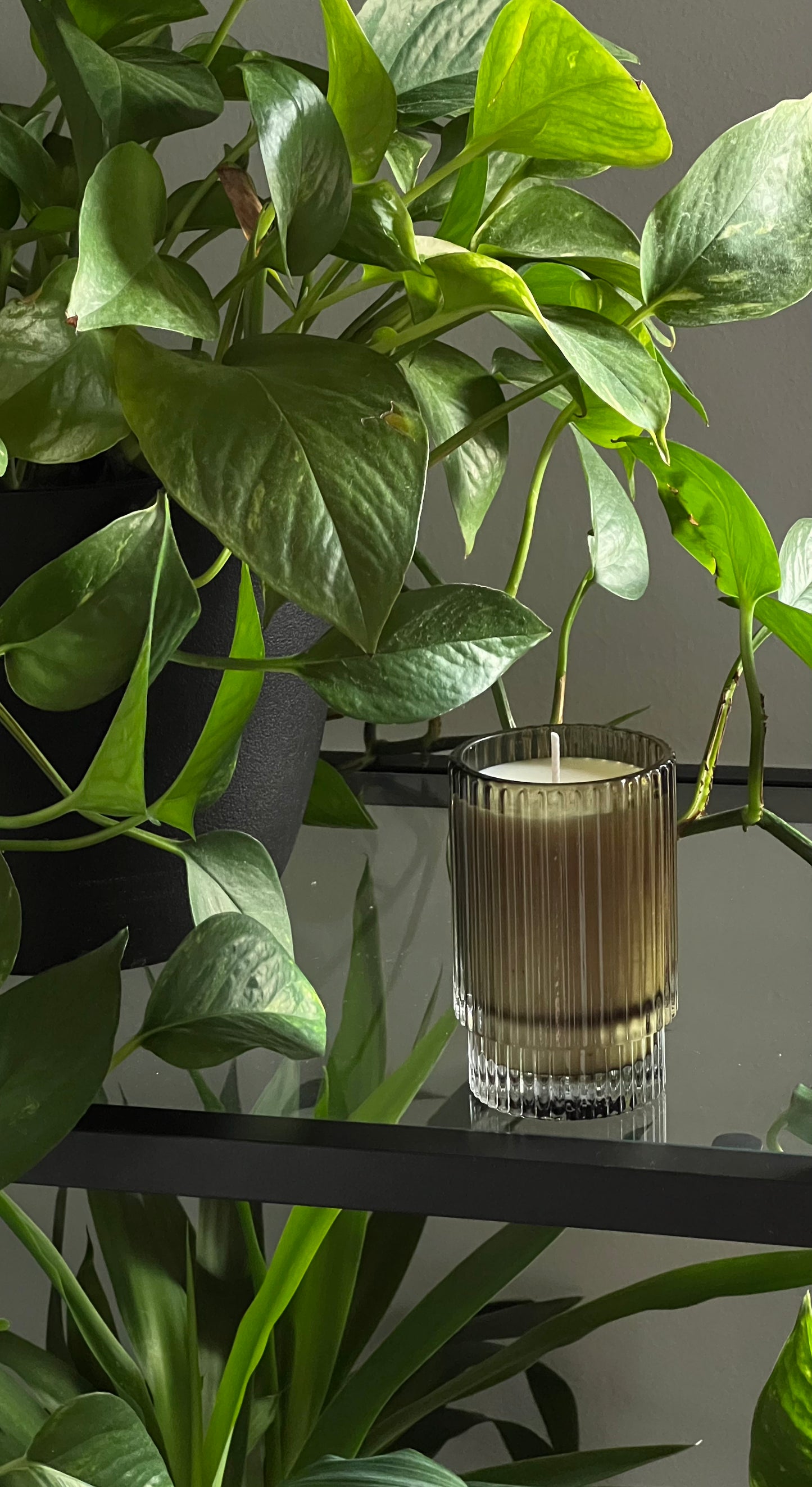 «VERDEROSA» CANDLE 150ml.